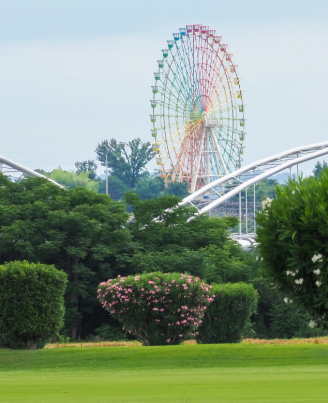 枚方街並み